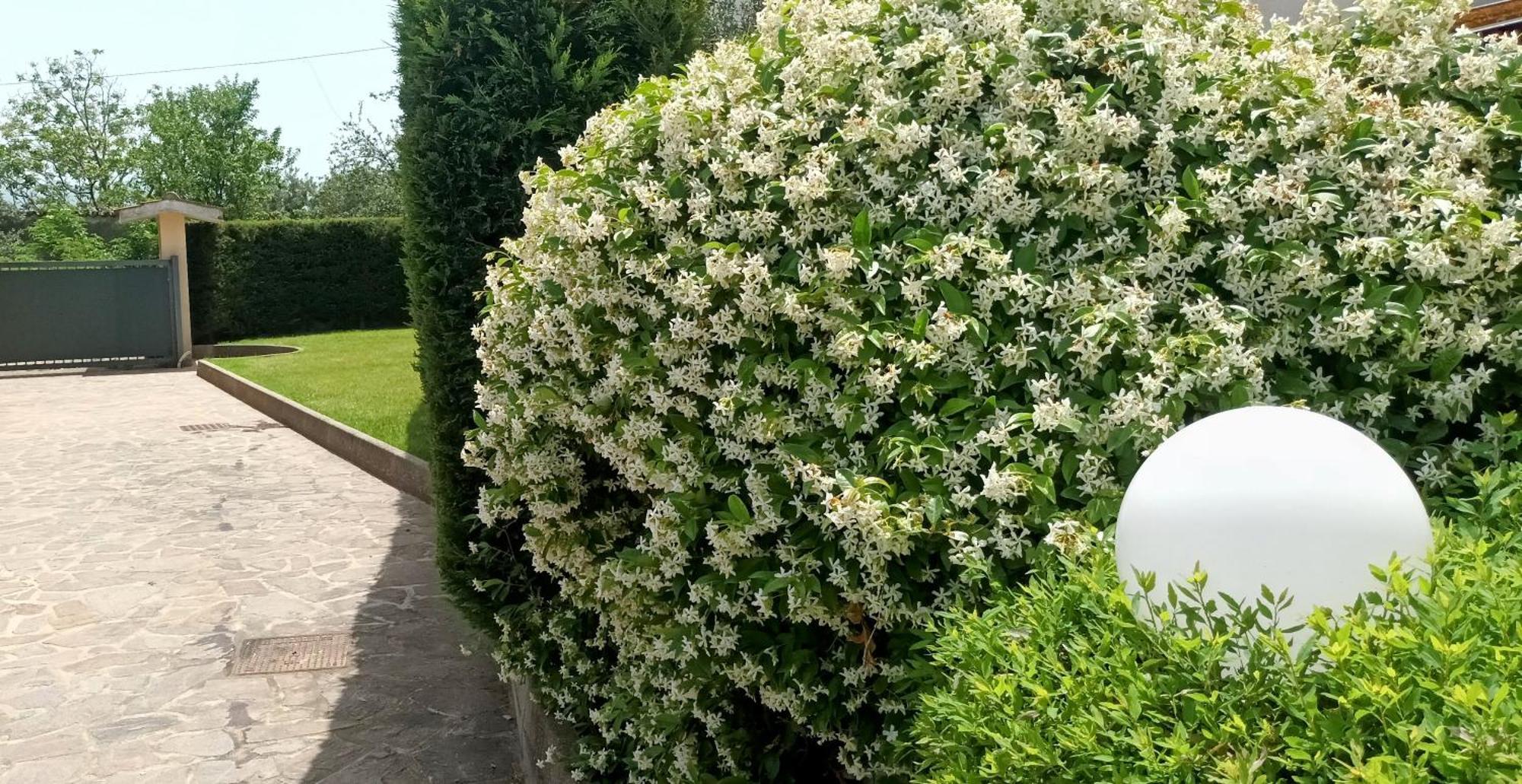 La Residenza Del Marchesato Bed & Breakfast Marano Marchesato ภายนอก รูปภาพ