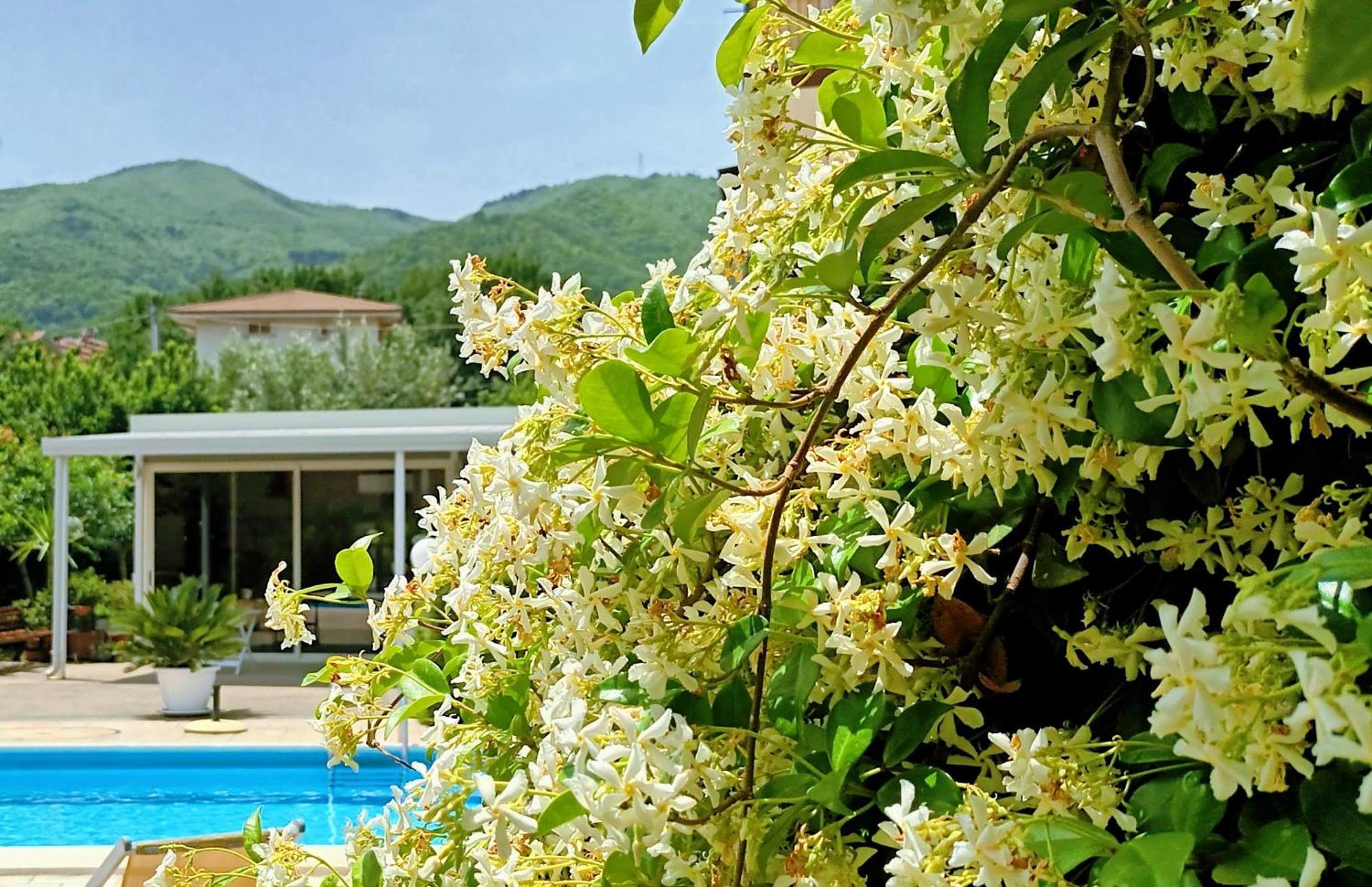 La Residenza Del Marchesato Bed & Breakfast Marano Marchesato ภายนอก รูปภาพ